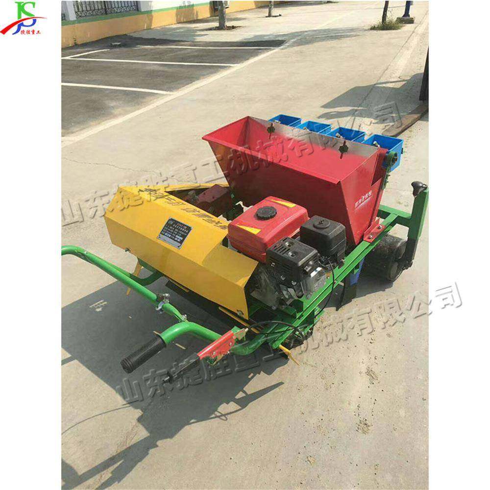 平原丘陵蒜苗种植机手推式农用大蒜播种机锥形螺旋蒜瓣种植机,农机/农具/农膜,播种栽苗器/地膜机,淘宝优惠券,粉丝福利购,淘宝优惠卷