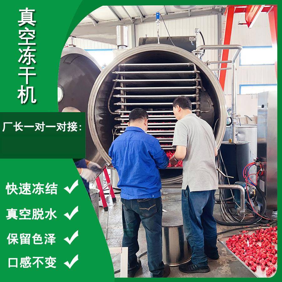 茯苓膏枇杷膏真空冻干机果蔬脆制作真空冻干机芒果粒冻干机