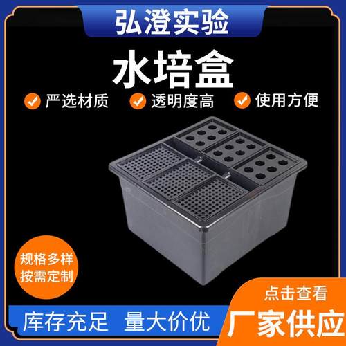植物水培盒供应大批量现货支持拿样品种多样欢迎咨询（包邮）