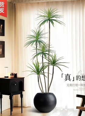 轻奢彷真绿色植物假植物彷真花千年木室内盆栽龙血树客厅装饰摆件