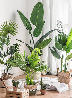 彷真绿色植物高端轻奢北欧装饰客厅落地彷生盆栽室内散尾葵假植物