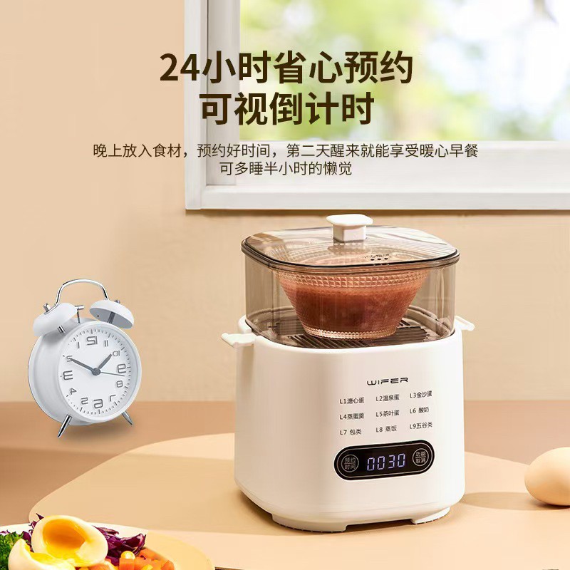 拉萨发货西藏包邮家用多功能迷你上蒸下煮一体全自动蒸蛋器煮蛋器