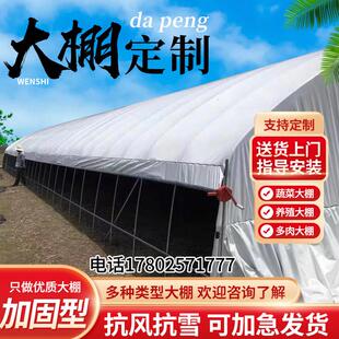 温室大棚骨架蔬菜养殖大棚钢管简易钢架大棚厂家连体玻璃大棚支架