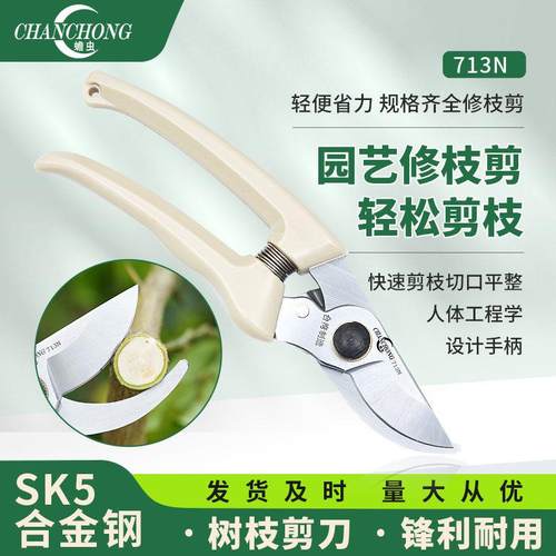 蟾虫713N园艺进口修枝剪树枝剪刀果树修枝园林剪刀专用剪盆景剪刀