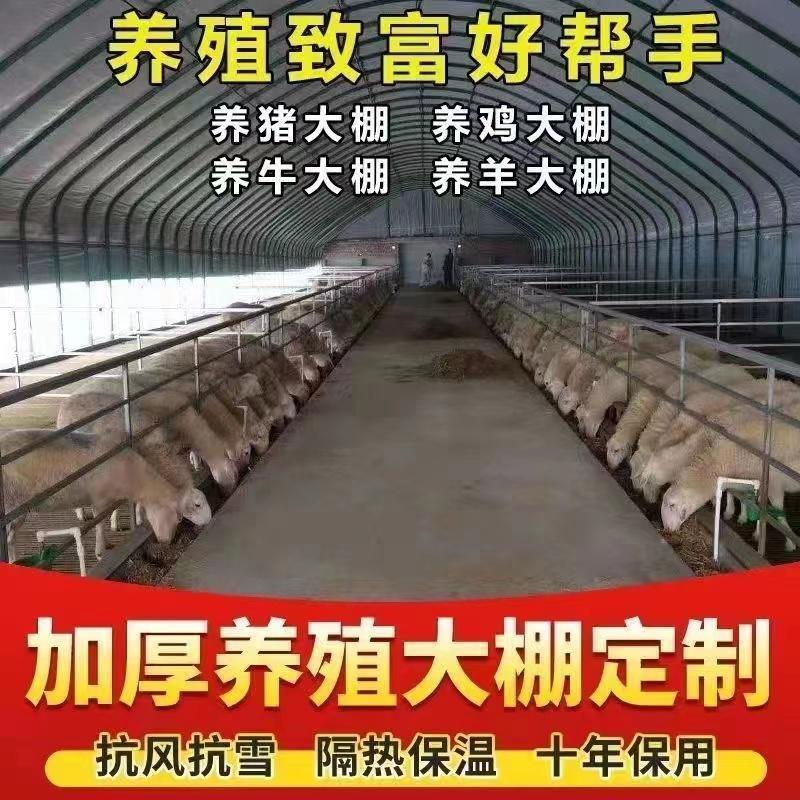 大棚骨架钢管温室蔬菜种植育苗养殖大棚全套镀锌椭圆管牛羊猪舍棚