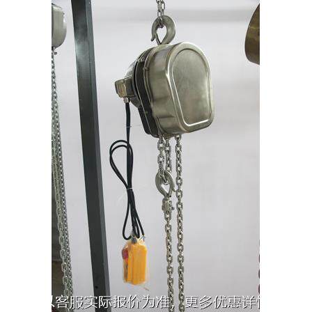 DHS上海3T*3M6米9米不锈钢环链电动葫芦双链不锈钢电动葫芦