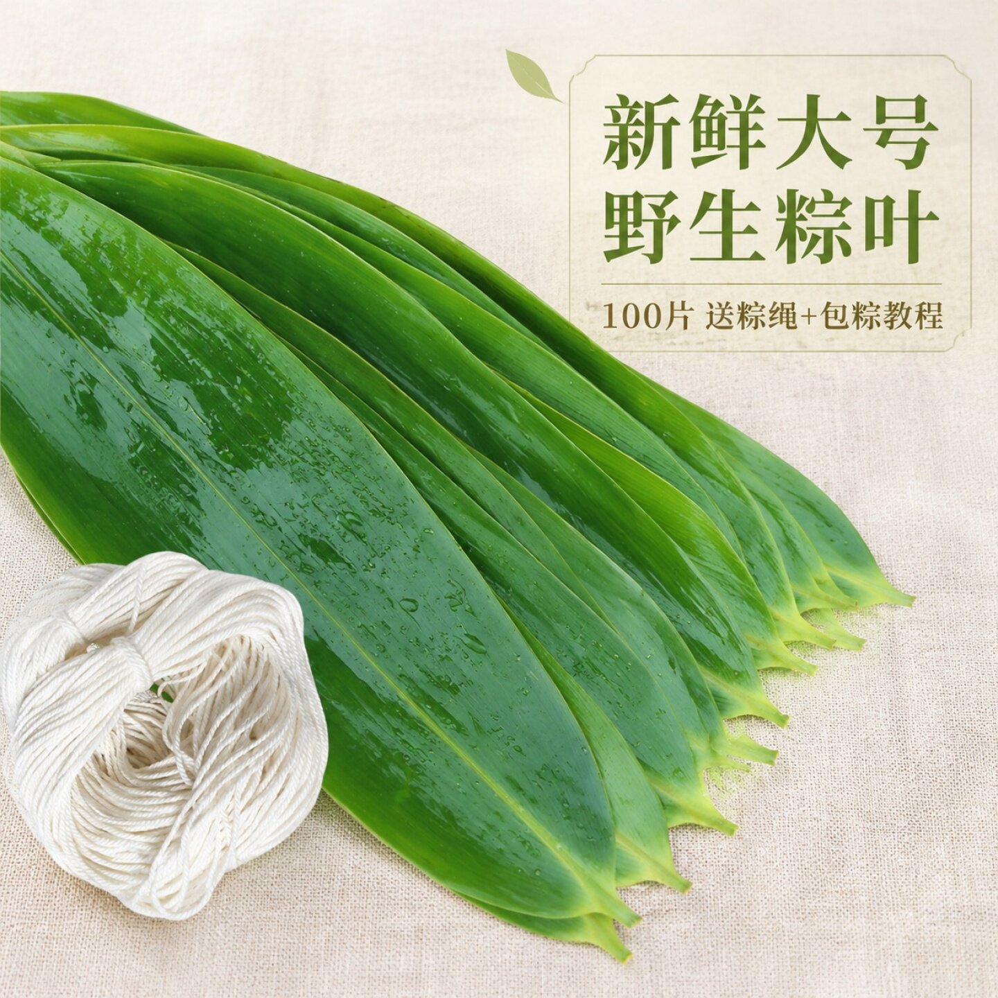 农山畔野生粽叶新鲜大号粽子叶大号宽粽叶新鲜粽子叶大号手工精选