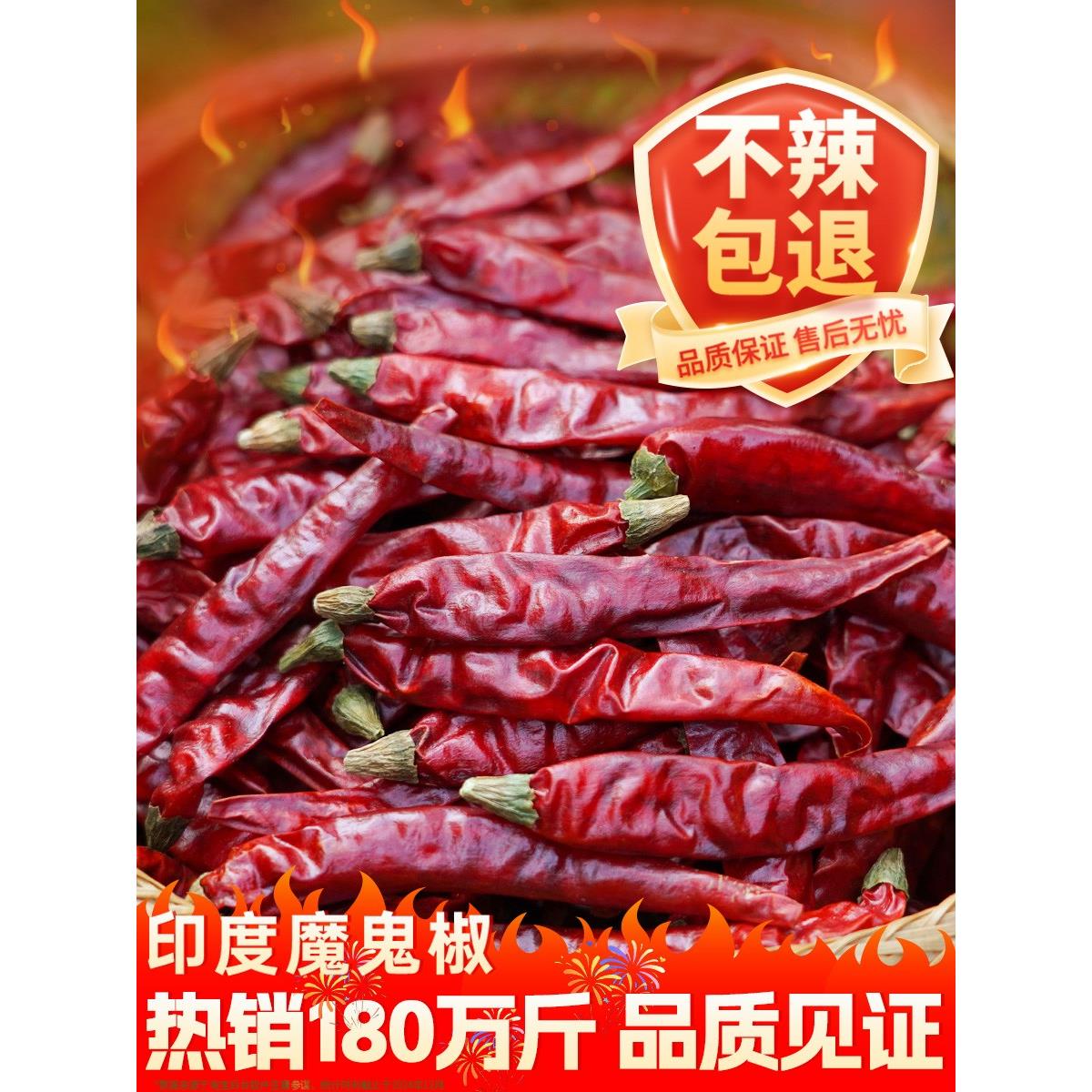印度魔鬼椒辣椒干500g特辣干辣椒魔鬼辣椒超级变态辣商用切段磨面