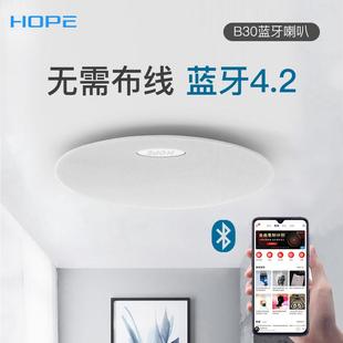 HOPE/向往 B30蓝牙音响喇叭家用天花吊顶吸顶蓝牙喇叭套装
