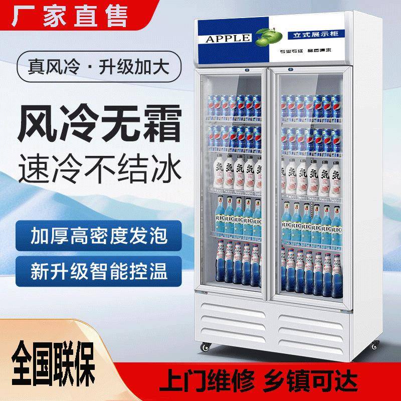 单双三门商用饮料柜立式冰柜饮料啤酒冷藏保鲜柜酒吧超市展示柜