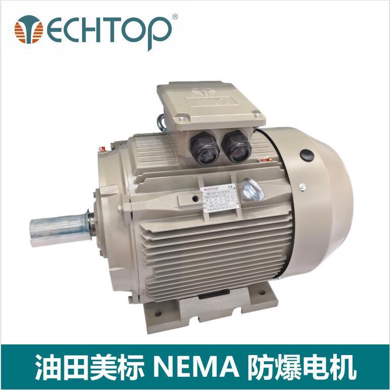 NEMA标准油田防爆电机油井防爆电机Class1Div2防爆电机CSA认证