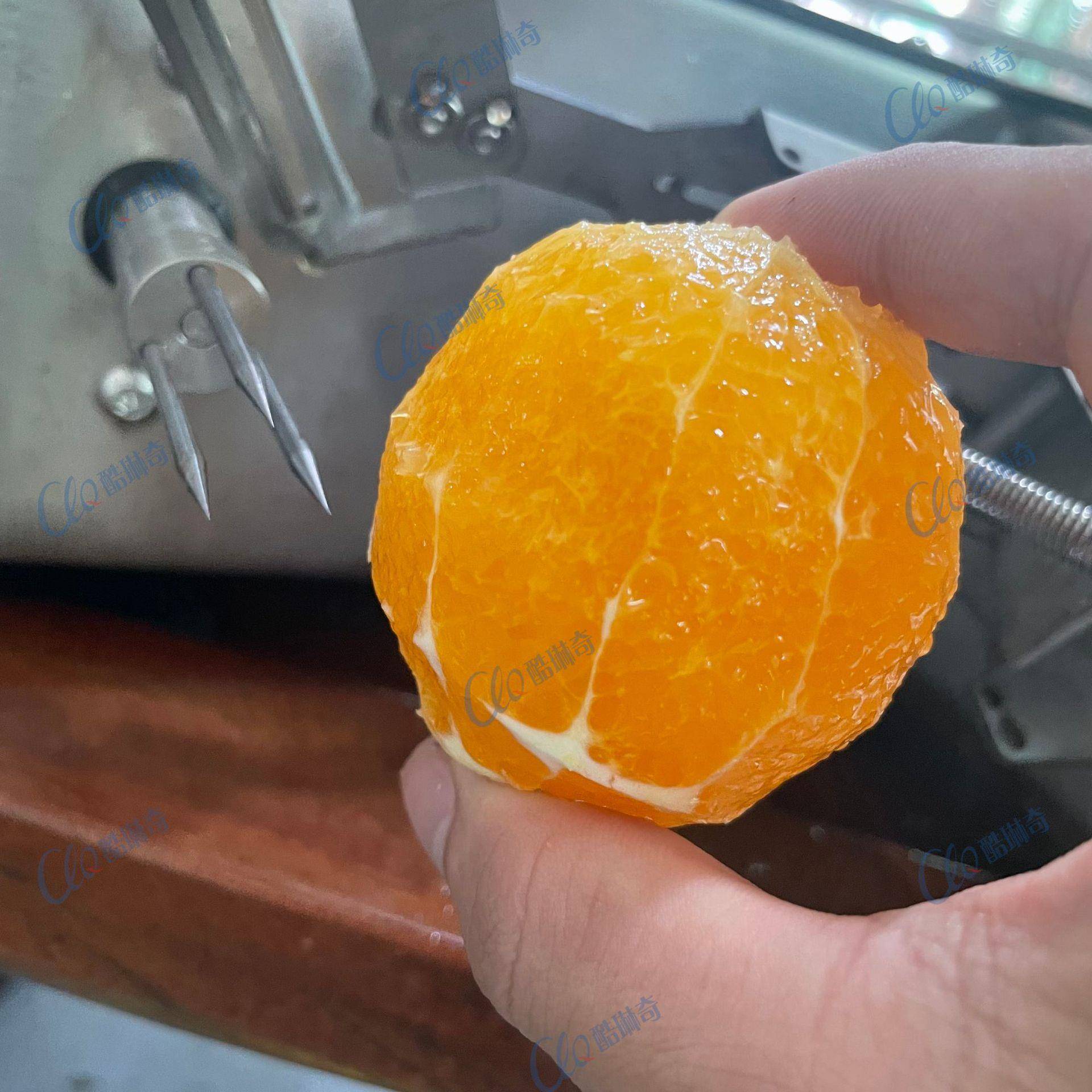 柳丁橙子削皮机厚皮红橙削皮机新奇士、冰糖橙、褚橙去皮机工厂