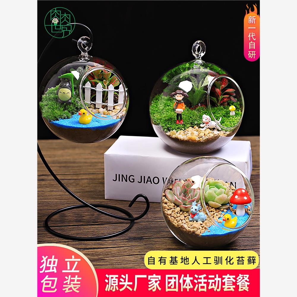 桌面青苔藓多肉微景观生