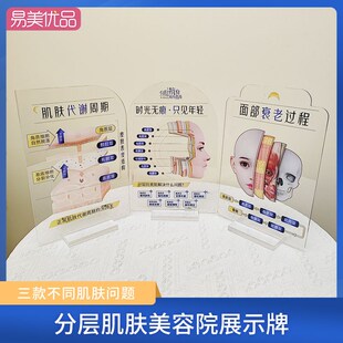 美容展示牌分层抗衰肌肤结构亚克力医学皮M肤解剖知识讲解促单医