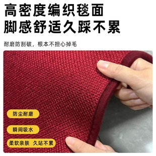高级感纯色家用厨房地垫吸水防尘耐磨地毯免洗防滑耐脏整铺脚垫子