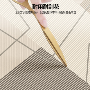 入户门地垫pvc可擦洗地毯门垫进门门口脚垫家用进户门垫子可裁剪