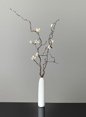龙枣枝干树枝装饰插花干枝摆件干支花束插花客厅落地摆设花艺真花