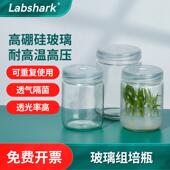 Labshark玻璃组培瓶实验室虫草育苗瓶透气植物组织培养瓶菌种瓶