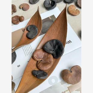 小众臭臭豆豆科类象耳豆扭果豆植物种子干花干果相框标本图鉴