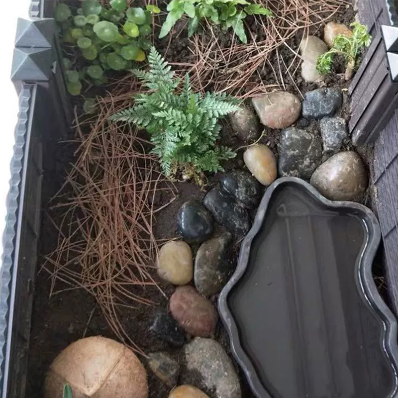 天然松针黄缘龟饲养箱生态造景植物垫材半水龟环境装饰养殖缸专用