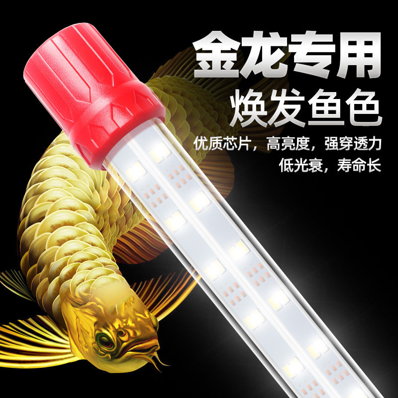 金龙金鱼专用鱼缸灯专业级防水超亮水草灯龙鱼照明灯水族增艳灯管,宠物/宠物食品及用品,照明器材,淘宝优惠券,粉丝福利购,淘宝优惠卷