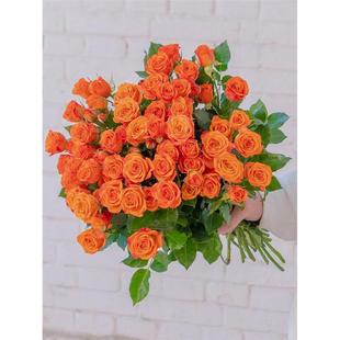 云南基地直发多头玫瑰鲜花折射橙芭比巧克力泡泡水养鲜切花真花