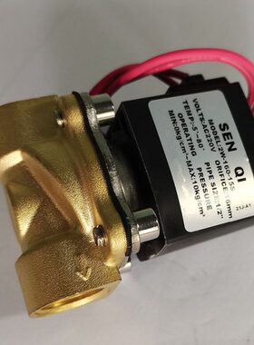 MODEL 2W160-15S250 320 400电磁阀水阀流体控制阀换向阀SENQI