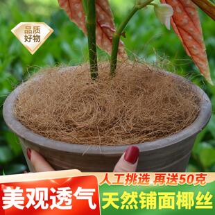 天然椰丝铺面植物盆栽绿植种花盆土面覆盖物装饰鸟窝垫料铺面椰丝