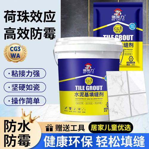 CG3WA增强水泥基填缝剂荷