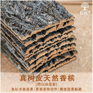 软木树皮香槟树真树皮爬宠鱼缸造景水族装饰贴摄影背板墙面树皮