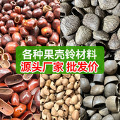 天然果壳摇铃风铃diy材料水铃桐pangi印尼黑果夹竹桃凤凰蛋花豆蔻