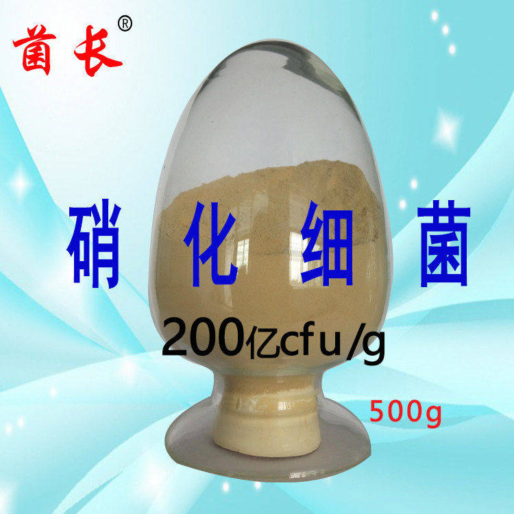 菌长硝化细菌干粉鱼缸水