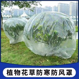 植物防冻保护罩果园抗寒挡风阳台膜袋果树耐老化小树苗薄膜花木