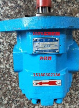 四川长江长江齿轮泵CBY3063-275L CBY4160C-B1FR GPC4a-63-D3R