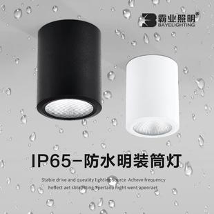 筒灯户外室外阳台店铺门头酒店雨棚露台吸顶射灯IP65防潮 防水明装