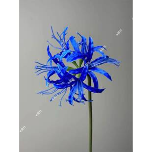 满洲沙花插花花束中国风古风蓝芭蕉花人造花汉代手持装饰花道具及