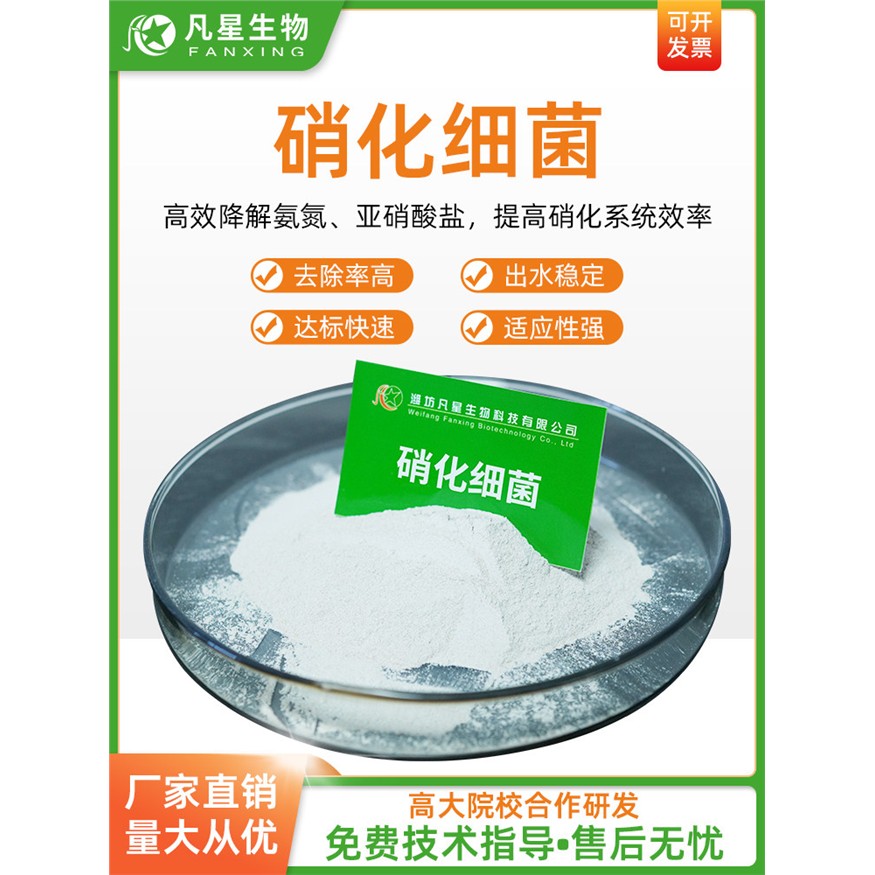 硝化细菌降氨氮亚硝酸盐