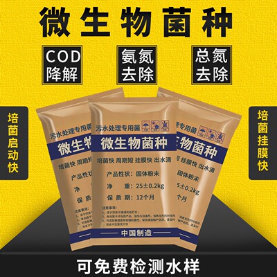 硝化细菌种好氧菌厌氧反C