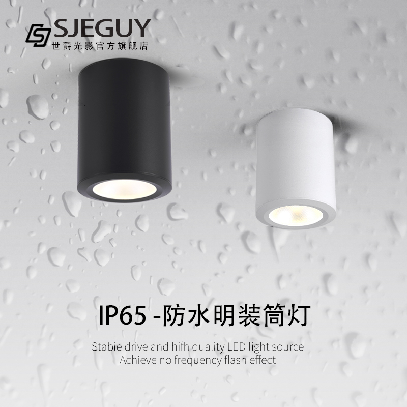 led防水明装筒灯户外室外v阳台店铺门头酒店雨棚露台吸顶射灯IP65