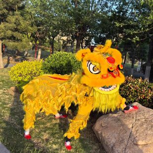 南狮训练舞狮普通舞南狮醒狮醒狮用龙舞狮道具普通狮南狮舞醒狮