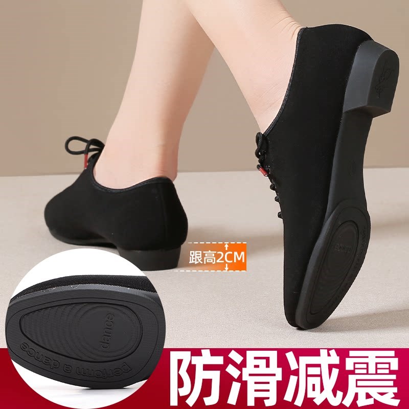 女士平跟舞蹈广场舞鞋拉丁舞鞋不累脚跳舞鞋形体鞋软底.防滑舞蹈