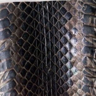 高品质乐器配件乌稍皮中段单块蛇皮京胡四胡蒙皮材料京胡胡琴配件