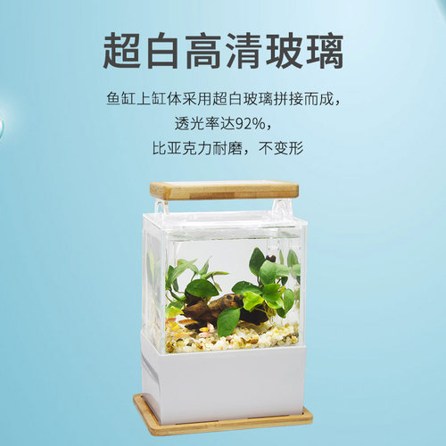 超白自循环小鱼缸底滤生态微缸办公室小型迷你海水缸免换水景观