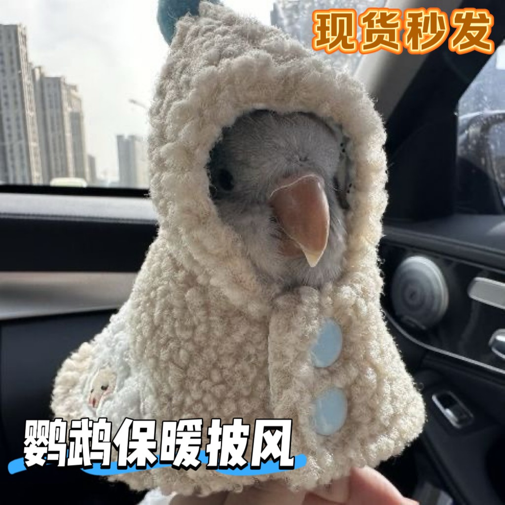鹦鹉衣服鹦鹉斗篷披风A加厚保暖外出棉外套鹦鹉用品鹦鹉专用衣服