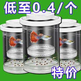 小鱼孵化器孔雀鱼繁殖隔离盒小型鱼卵鱼苗斑马鱼斗鱼缸内孵化器