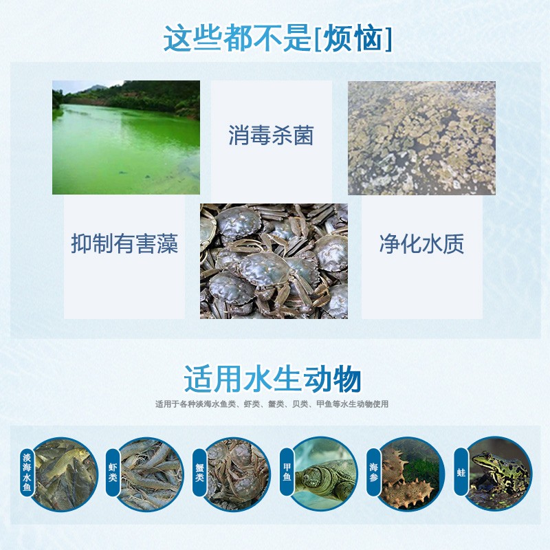 一元二氧化氯泡腾片鱼塘消毒粉杀菌剂水产养殖用鱼W药鱼虾池塘水