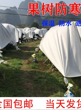 防寒布保温膜柑橘农用果园果树防水透气透光防霜防冻耐用无纺布