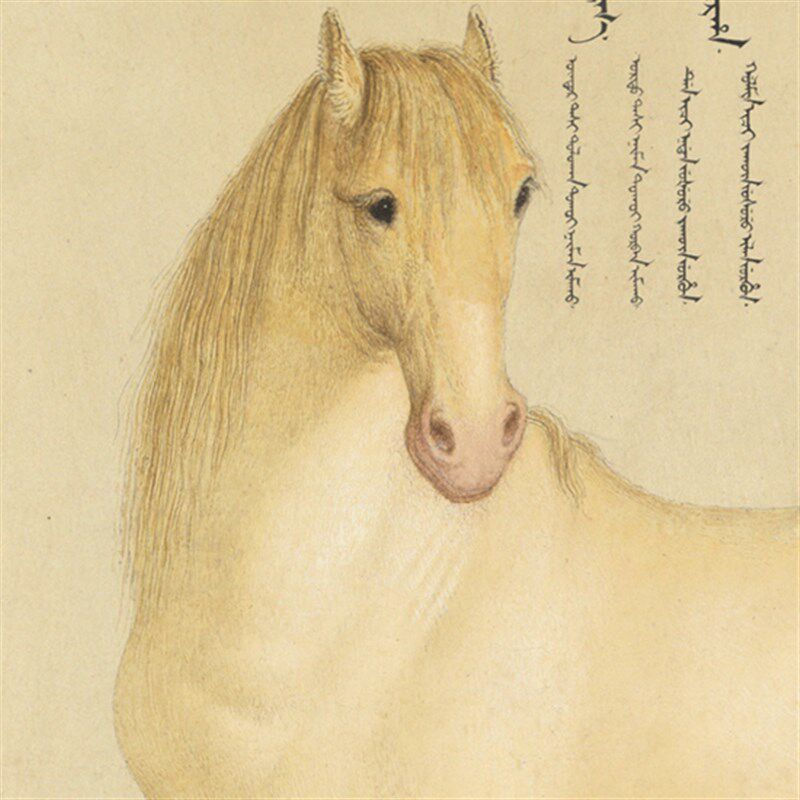 郎世宁工笔画花鸟图客厅挂画装饰画爱乌罕四骏图字画国画卷轴定制
