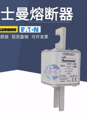 新款巴斯曼熔断器保险丝10M302010M302110M302210M3023现货10M302