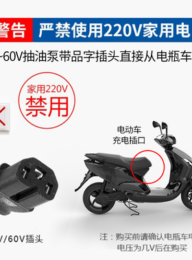 油水两用抽水泵抽油泵家用12V24V48V60V220V小型水泵插电直流油泵